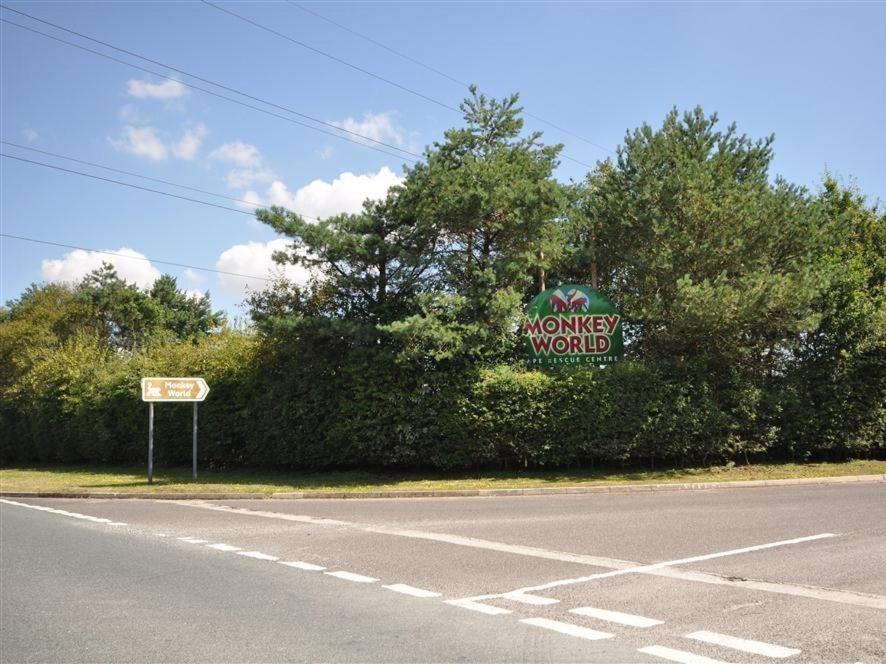 Tavern Way Corfe Castle Εξωτερικό φωτογραφία