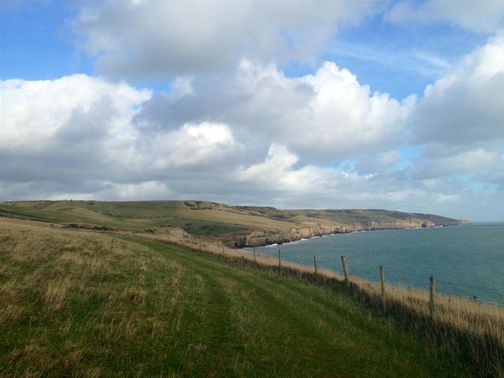 Tavern Way Corfe Castle Εξωτερικό φωτογραφία
